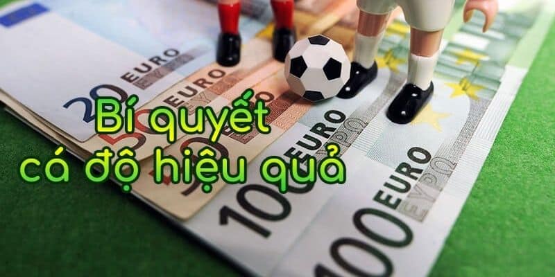 Tm hiểu về cách đọc tỷ lệ kèo châu Âu trên Kubet